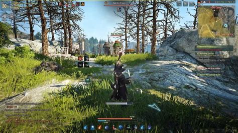 play black desert online.